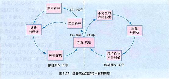 亚马孙热带雨林的不合理开发,引起的环境问题