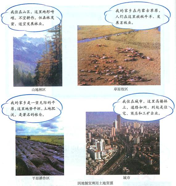 汽车品牌占有量_人均自然资源占有量