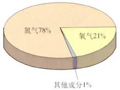 空气成分示意图(体积分数)