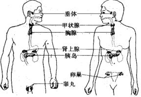 index_clip_image007.jpg