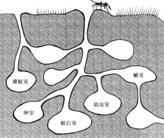 index_clip_image006.jpg