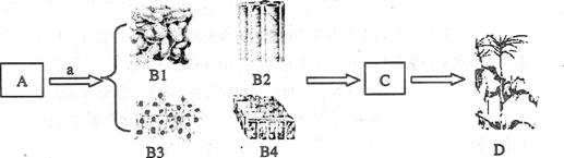 ѧ����(www.zxxk.com)--�������Ľ�����Դ�Ż����ṩ�Ծ����̰����μ������ġ��زļ������ѧ��Դ���أ����д������ḻ�Ľ�ѧ�����Ѷ��