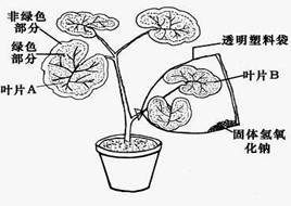 学科网(www.zxxk.com)--国内最大的教育资源门户,提供试卷、教案、课件、论文、素材及各类教学资源下载,还有大量而丰富的教学相关资讯!