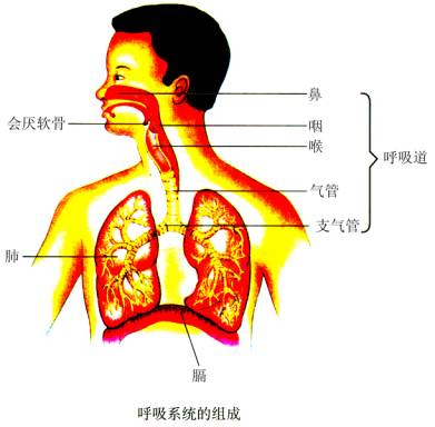 漰ĶЩ