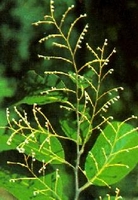 �������������