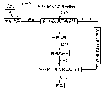 ˮ޻εƽ͵.ppt
