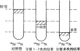 index_clip_image004.gif