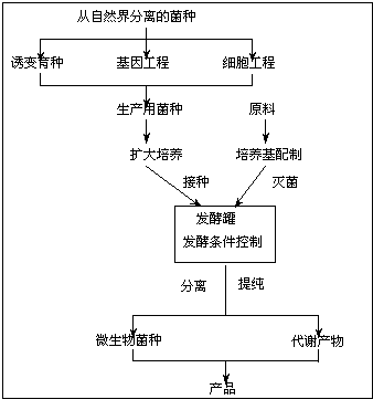 《微生物发酵工程》课程教学改革探索