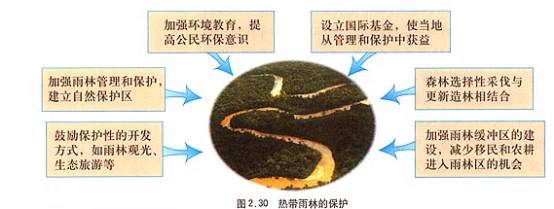 森林的开发和保护--以亚马孙热带雨林为例