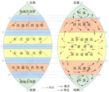 向高纬方向和较低纬方向流动,补充南北赤道暖流和西风漂流的海水