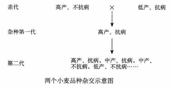 遗传的原理是什么呢_舌苔发白是什么原因呢(3)