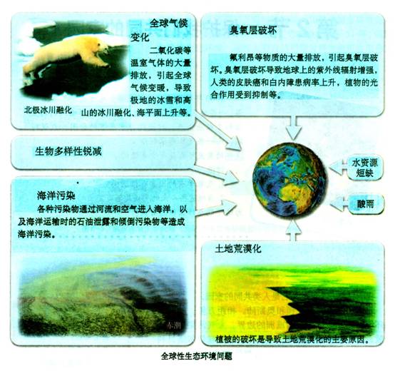 人口多样性包括哪些_生物多样性图片(2)